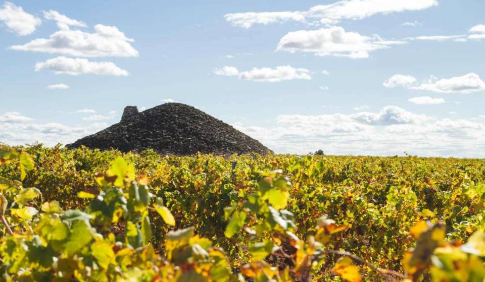 Por primera vez en 40 años Madrid y Tomelloso estarán conectadas por un tren turístico para visitar bodegas, destilerías y cuevas: se pondrá en marcha el 26 de noviembre