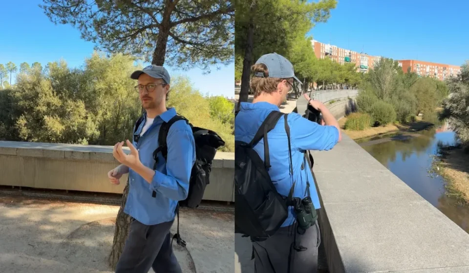 Fauna in Madrid Río: Video über die Vögel am Manzanares