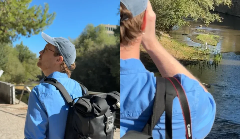 Vogelbeobachtung in Madrid: Vogelbeobachtung im Casa de Campo