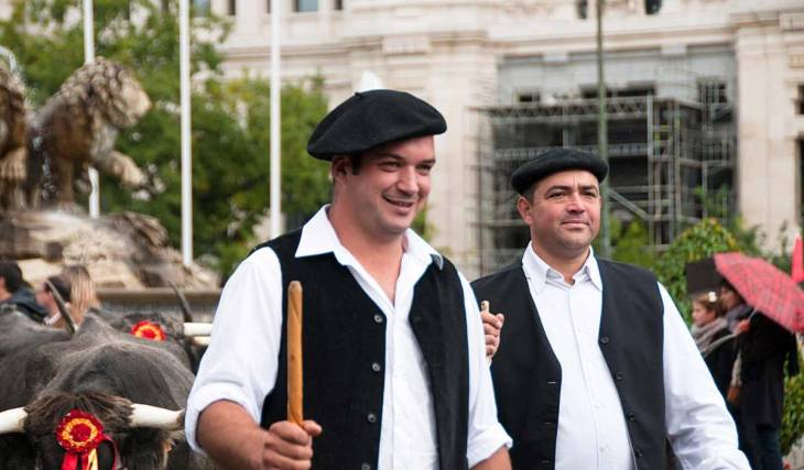 Más de 1.000 ovejas recorrerán el centro de Madrid este domingo: guía para verlas gratis y evitar las calles afectadas