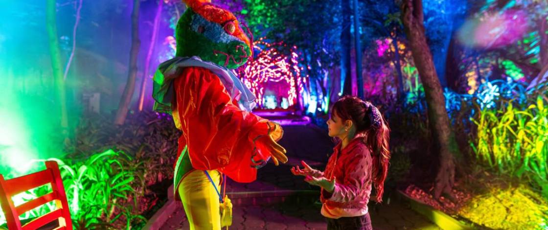 En 2001, el Real Jardín Botánico Alfonso XIII de Madrid abrió con fines científicos; esta Navidad, Naturaleza Encendida transforma sus senderos en el mágico País de las Maravillas