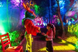 En 2001, el Real Jardín Botánico Alfonso XIII de Madrid abrió con fines científicos; esta Navidad, Naturaleza Encendida transforma sus senderos en el mágico País de las Maravillas