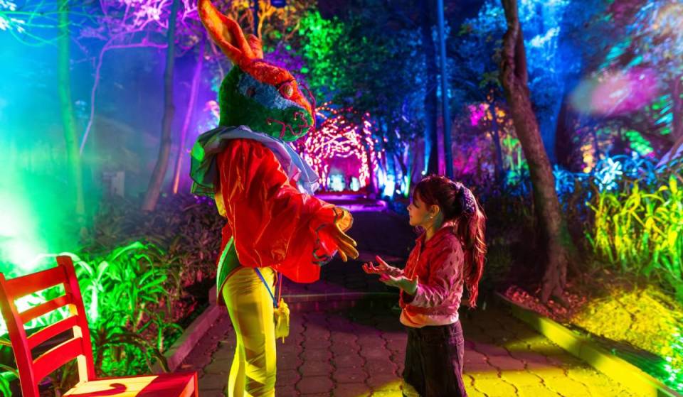 En 2001, el Real Jardín Botánico Alfonso XIII de Madrid abrió con fines científicos; esta Navidad, Naturaleza Encendida transforma sus senderos en el mágico País de las Maravillas
