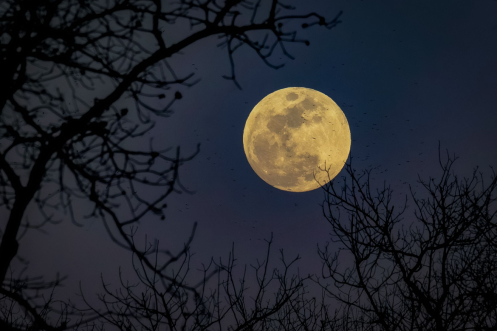 Luna del cazador.