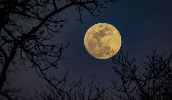 La Luna del Cazador llena el cielo de Madrid este 26 de octubre: sale a las 18:11 y no se espera lluvia
