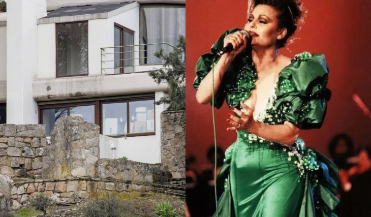 La casa brutalista de Rocío Dúrcal en las afueras de Madrid: 660 m², una finca de 10.000 y una historia familiar que continúa