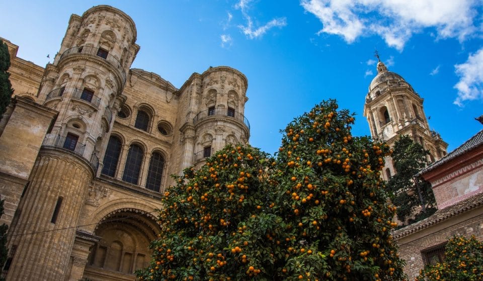 ¿Por qué no se pueden comer las naranjas de la calle?