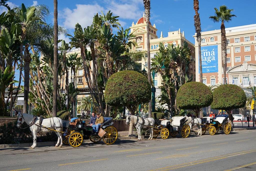 Adiós coches caballos Málaga