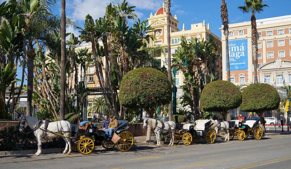 Adiós a los coches de caballos en Málaga: la medida que podría escalar a otras ciudades andaluzas