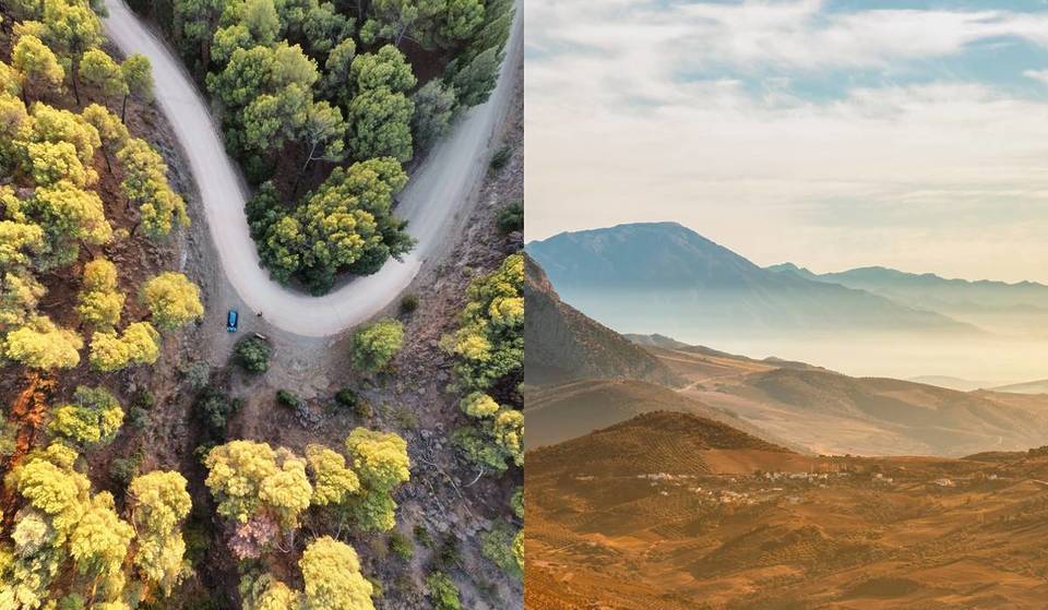 A solo 15 minutos de Málaga: el majestuoso bosque de 5.000 hectáreas que esconde cascadas, senderos, ruinas y vistas al mar