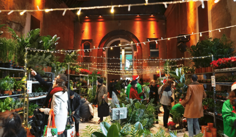 Une grande vente de plantes aura lieu ce weekend à Marseille !