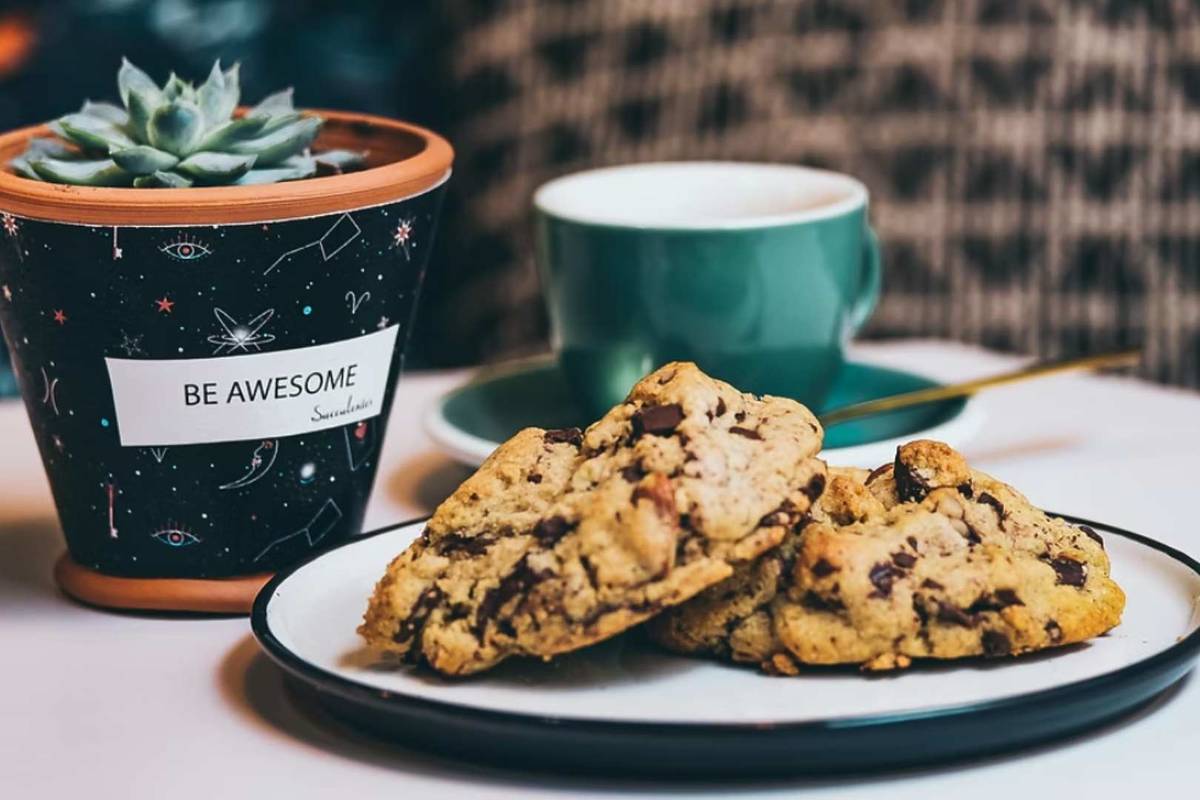 Succulentes Café Marseille