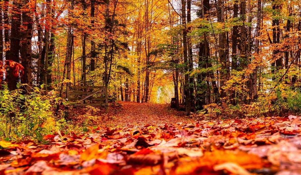 Les plus belles balades d’automne à moins d’1 heure de Marseille