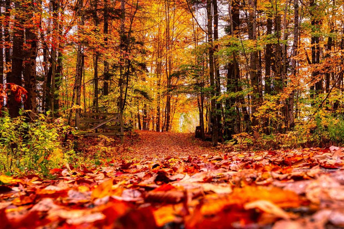 Balade automnale aux alentours de Marseille