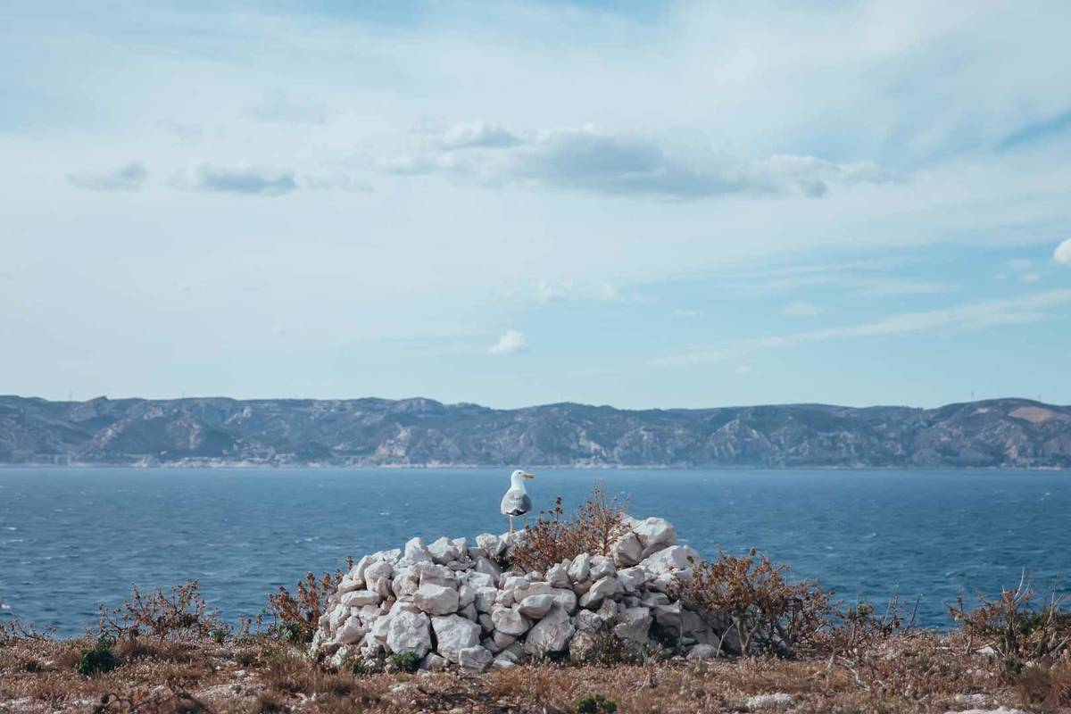 Activités Saint-Valentin à Marseille : picnic sur les îles du Frioul