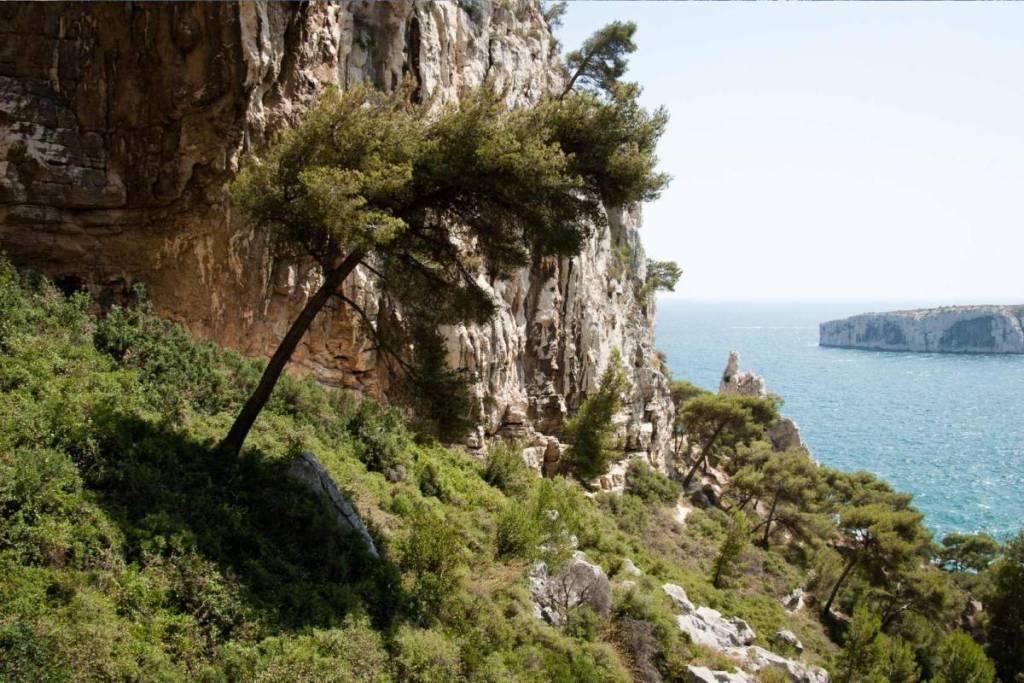Sugiton Calanque in Marseille