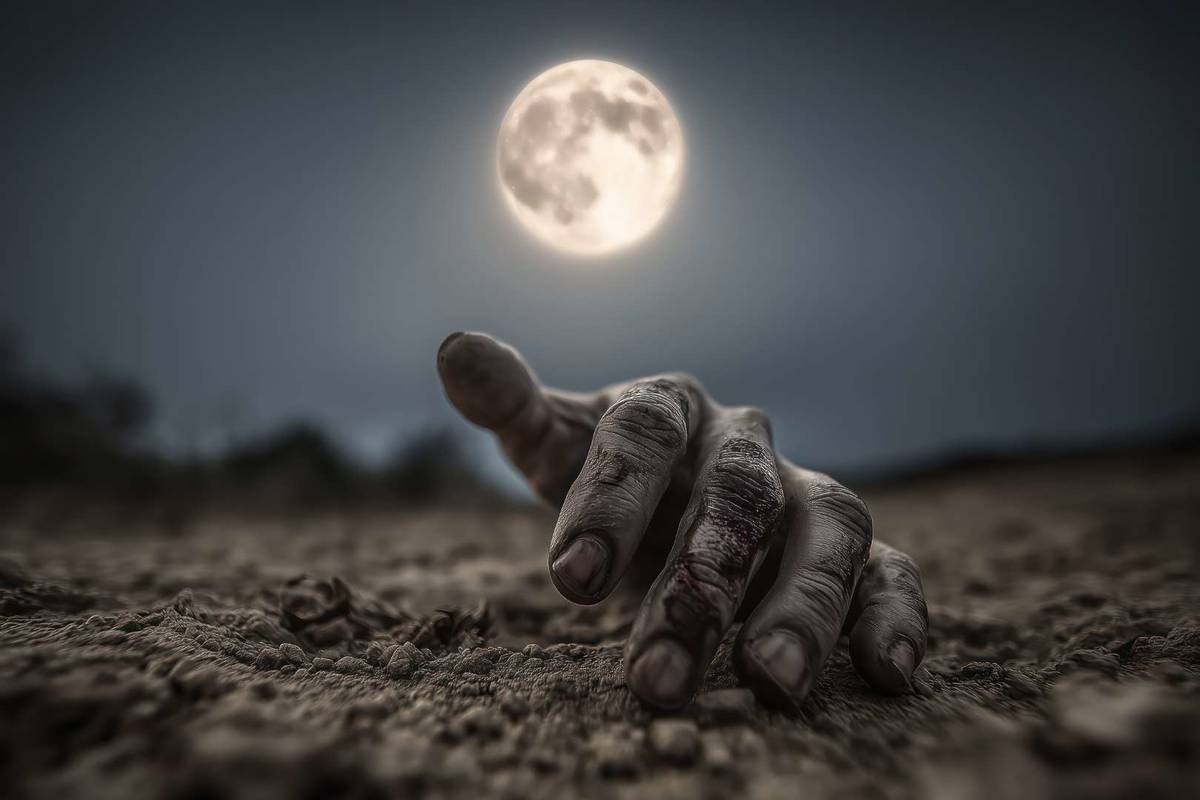 Thriller Night au RockyPop de Marseille pour Halloween