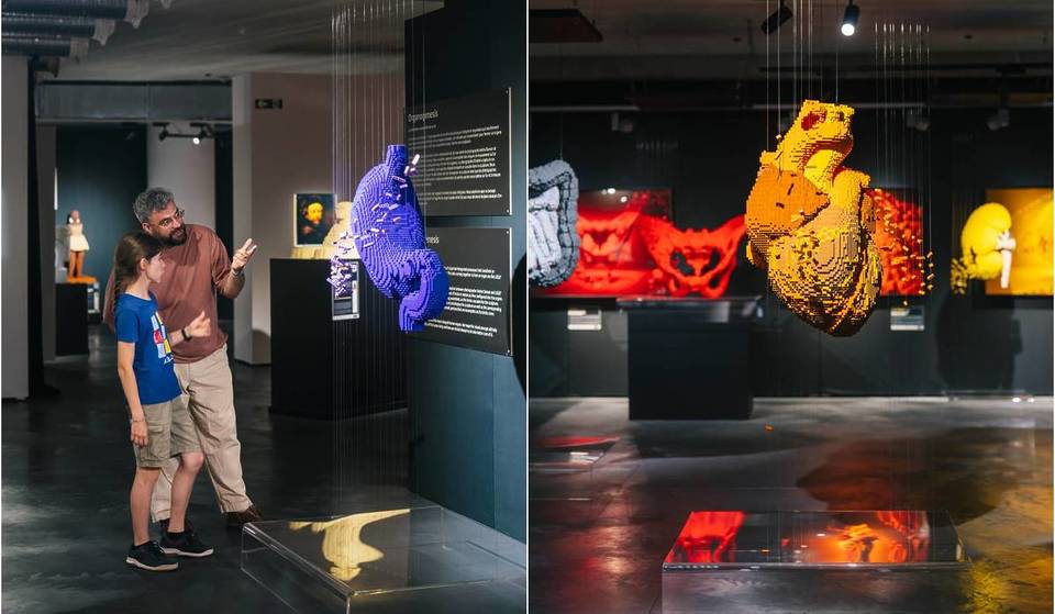 L’exposition phénomène d’art LEGO® « The Art of the Brick » a ouvert à Marseille
