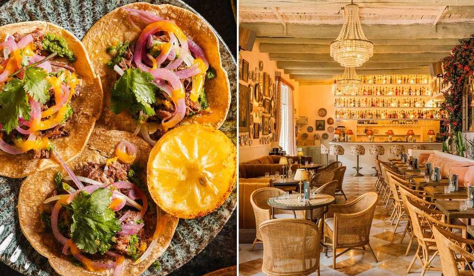 Homemade South American cuisine, retro decor and inspired cocktails: Tigermilk has won over Marseille&#8217;s Old Port.