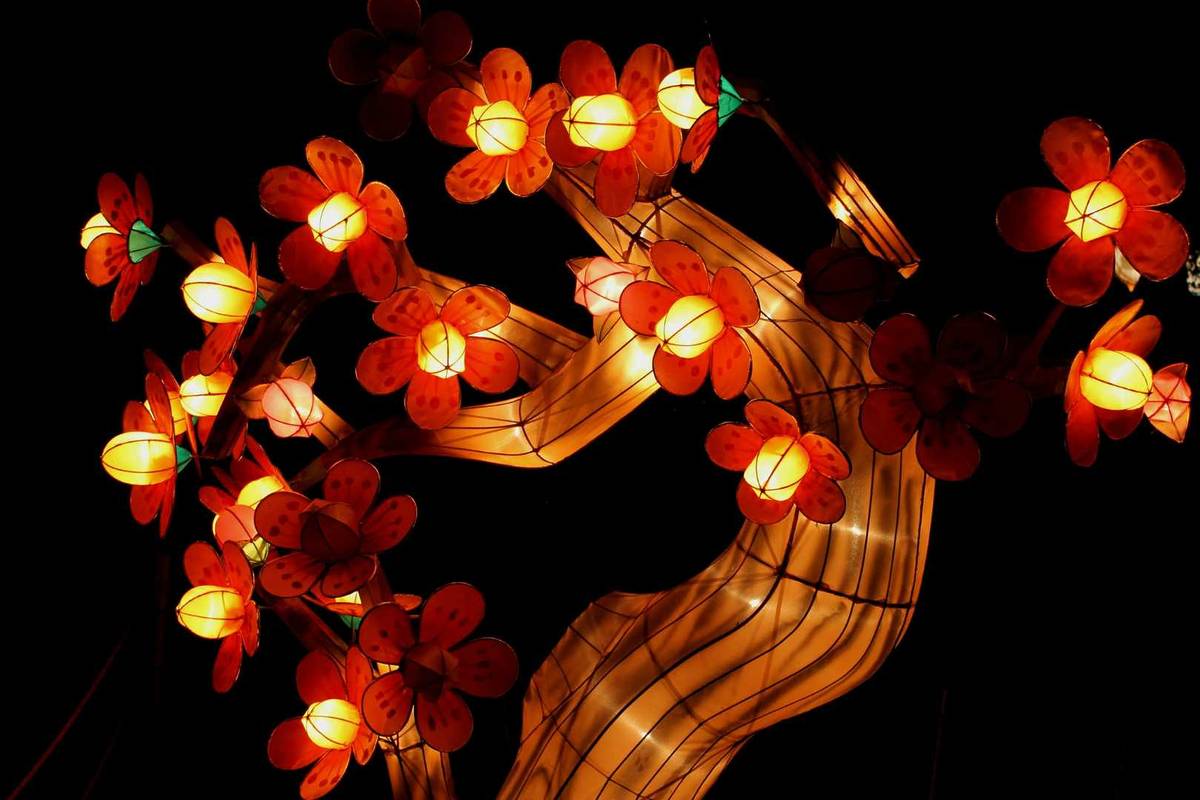 Lanternes Lumineuses Noël Parc de Bagatelle Marseille