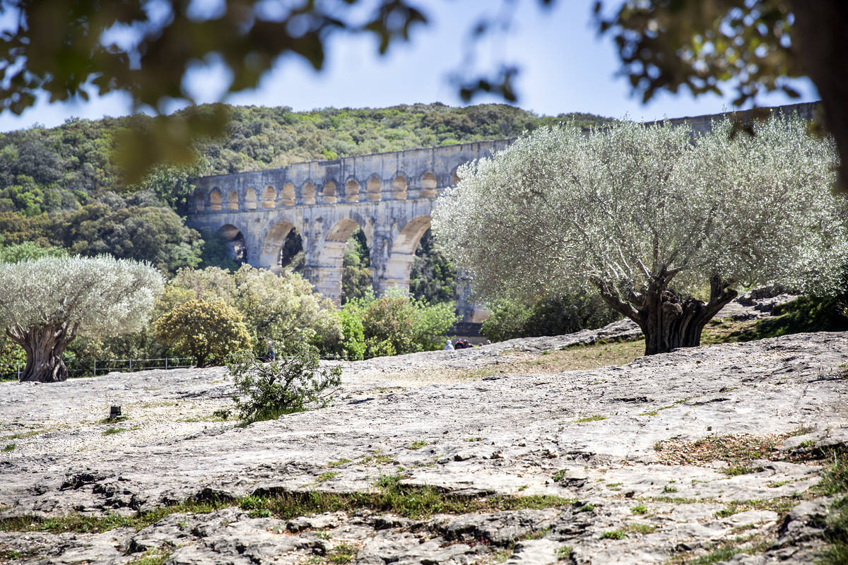 Photo de la nature autour du Pont du Gard avec le pont en fond