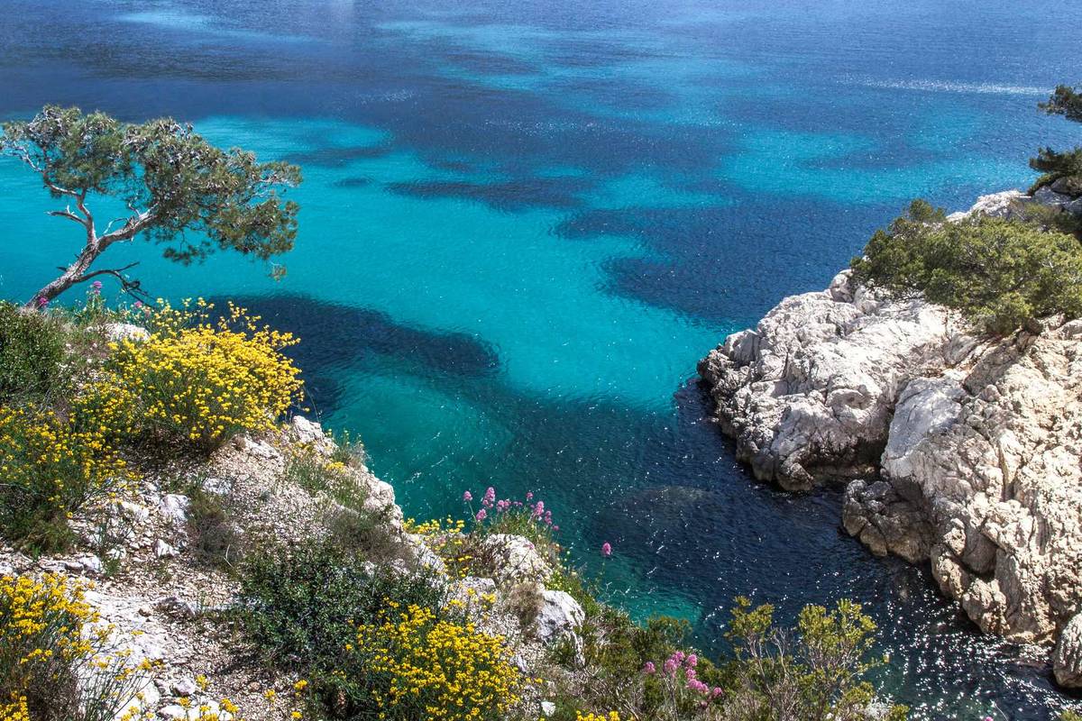 Calanque de Sormiou Marseille