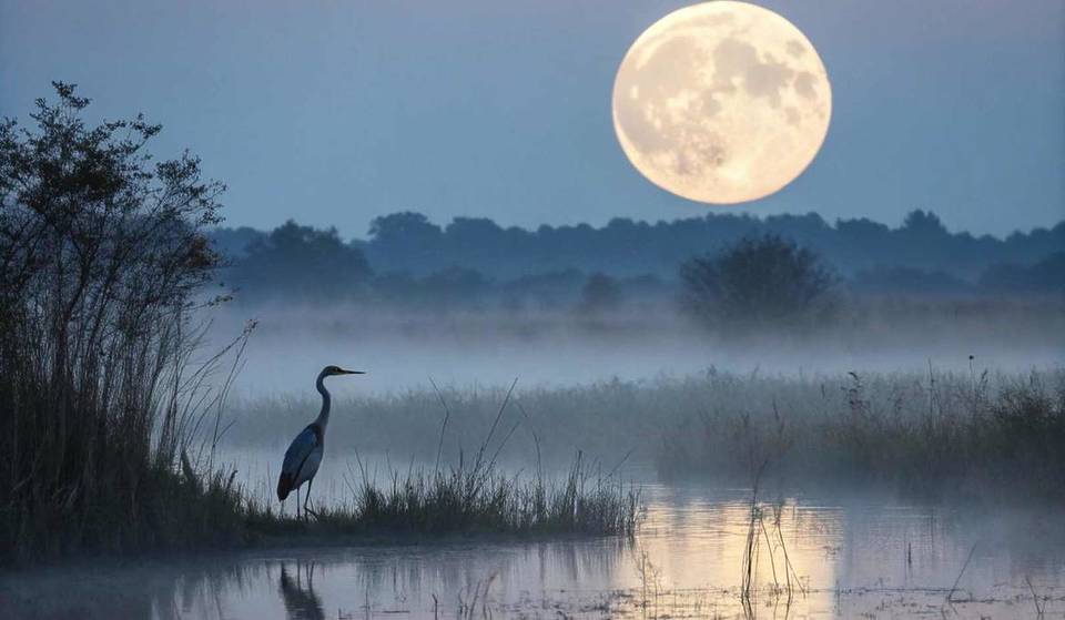 La Super Lune du Castor, la plus grosse et brillante de 2025, illumine Marseille le 5 novembre