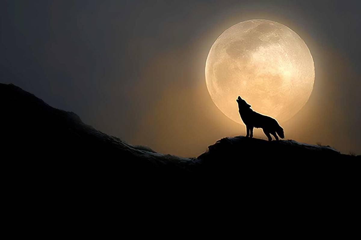 Super Lune du Loup dans le ciel à Marseille le 3 janvier 2026