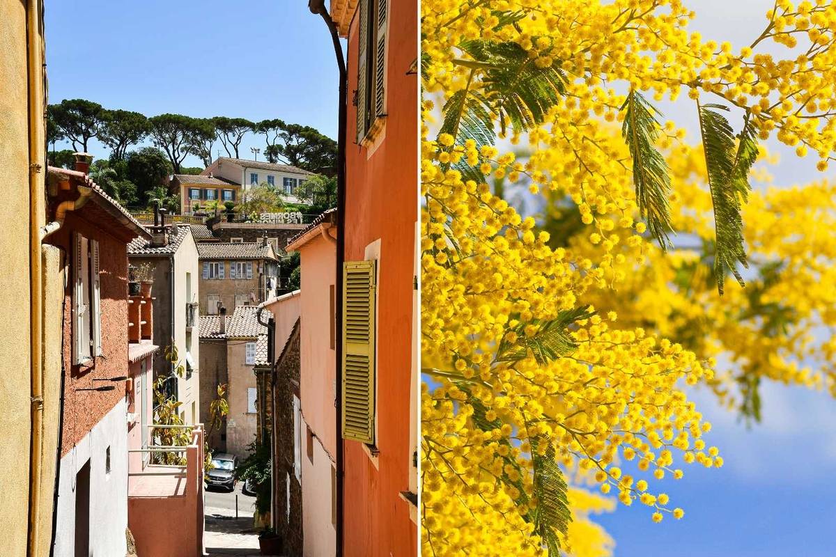 Village Bromes-les-mimosas