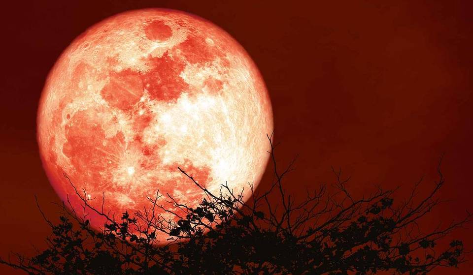 The moon turns red during a spectacular lunar eclipse: what is this Blood Moon phenomenon and will it be visible from Marseille?
