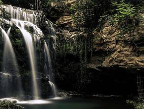 Cette cascade de 9 mètres de haut en plein cœur de Marseille était le secret le mieux gardé de la bourgeoisie et ne se visite que quelques jours dans l&rsquo;année