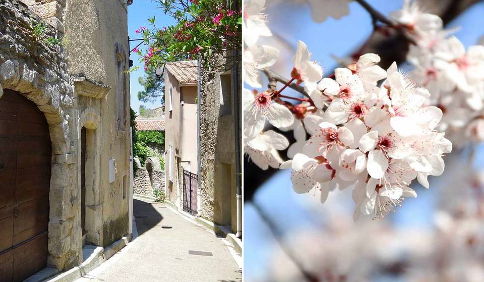 « Comme un air de Japon en Provence » : ce village du Vaucluse classé parmi les plus beaux de France se pare d&rsquo;un manteau blanc de cerisiers en fleurs à 1h30 de Marseille