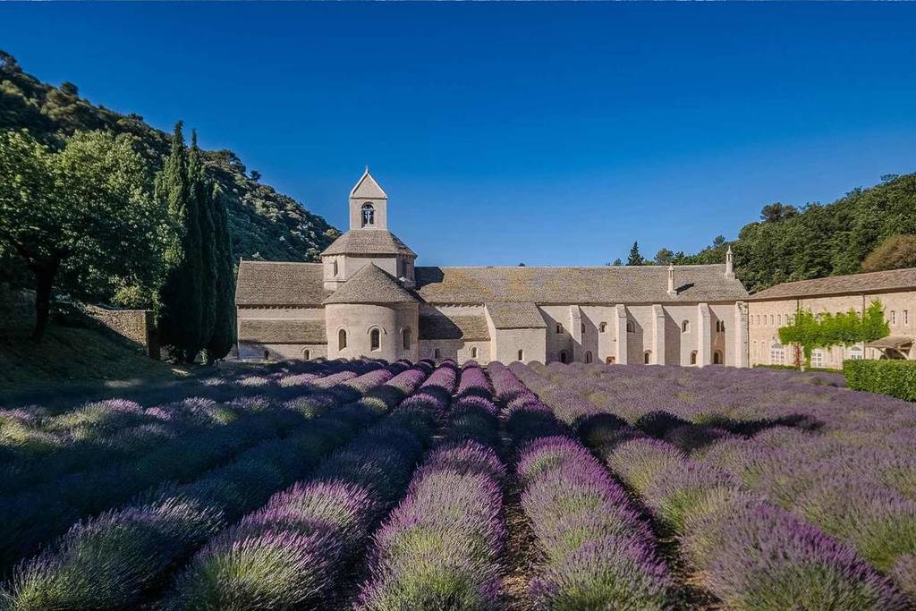 Abbaye de Sénanque près de Gordes