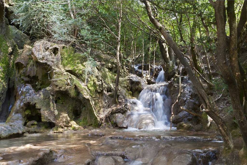 Saint-Maurin Nature Reserve