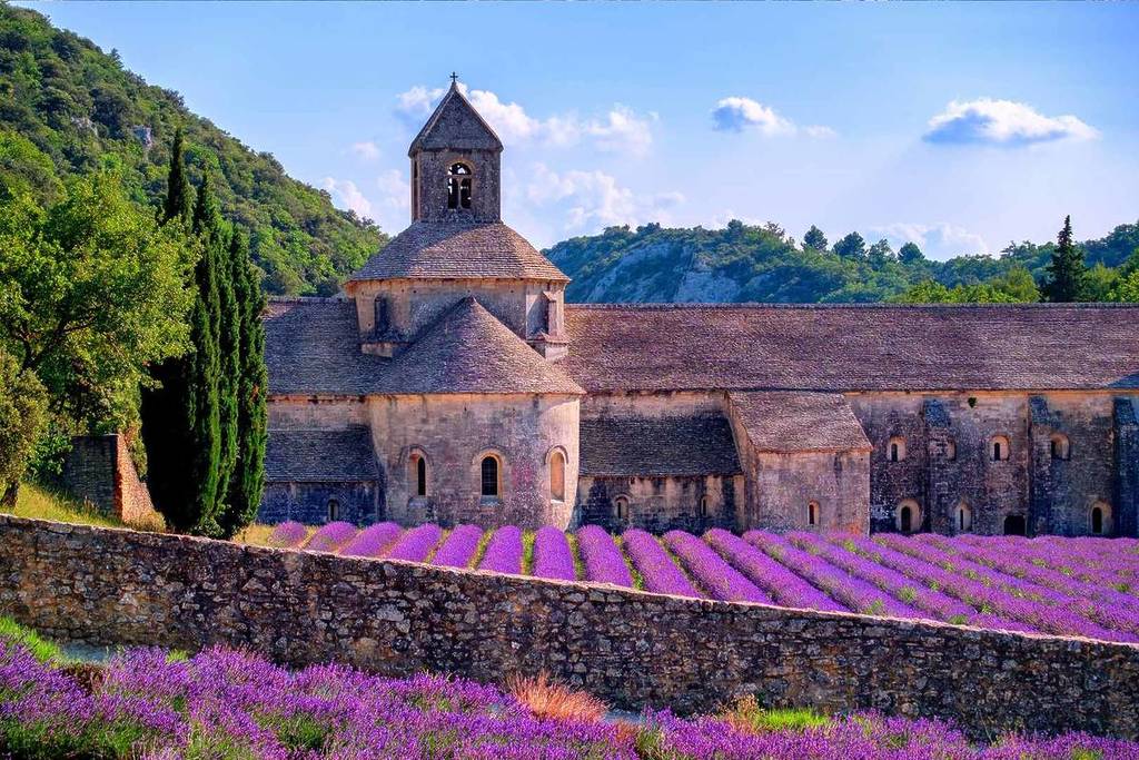 Abbaye de Sénanque et ses champs de lavande