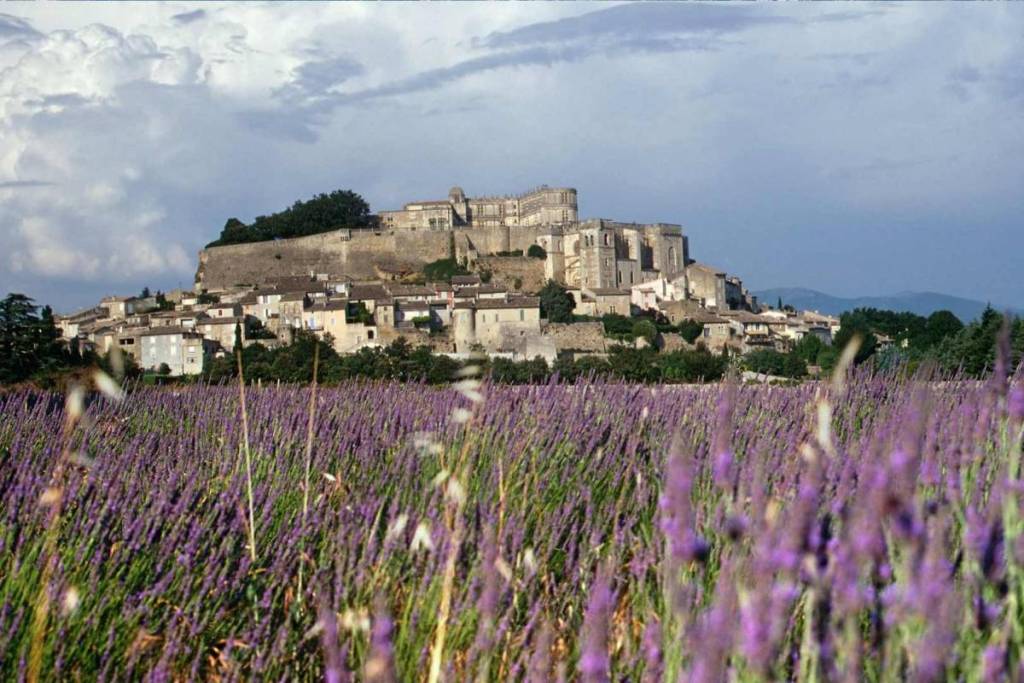 Village de Grignan entouré de champs de lavande