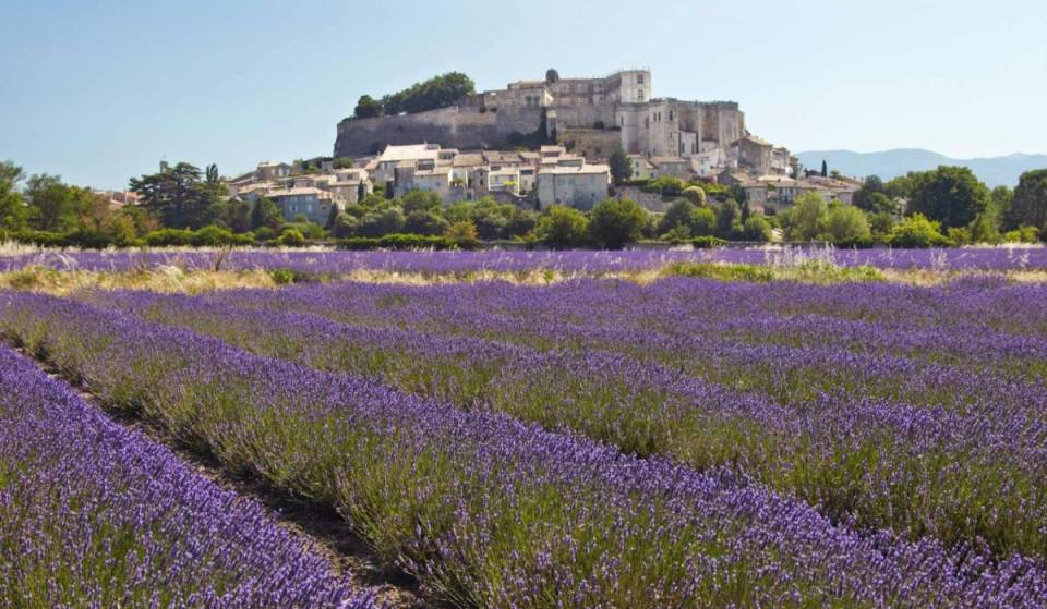 Oubliez le Plateau de Valensole, ce village médiéval et son château majestueux se dressent au milieu des champs de lavande en été à moins de 2h de Marseille