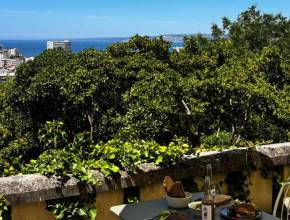 « Un havre de paix face à la mer » : à Marseille, ce nouveau café-restaurant associatif cache un jardin secret avec vue panoramique sur la mer
