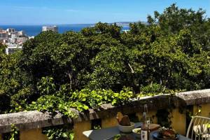 « Un havre de paix face à la mer » : à Marseille, ce nouveau café-restaurant associatif cache un jardin secret avec vue panoramique sur la mer