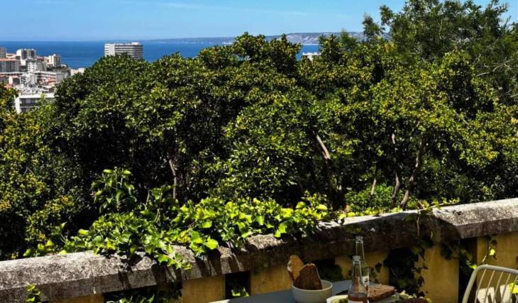 « Un havre de paix face à la mer » : à Marseille, ce nouveau café-restaurant associatif cache un jardin secret avec vue panoramique sur la mer