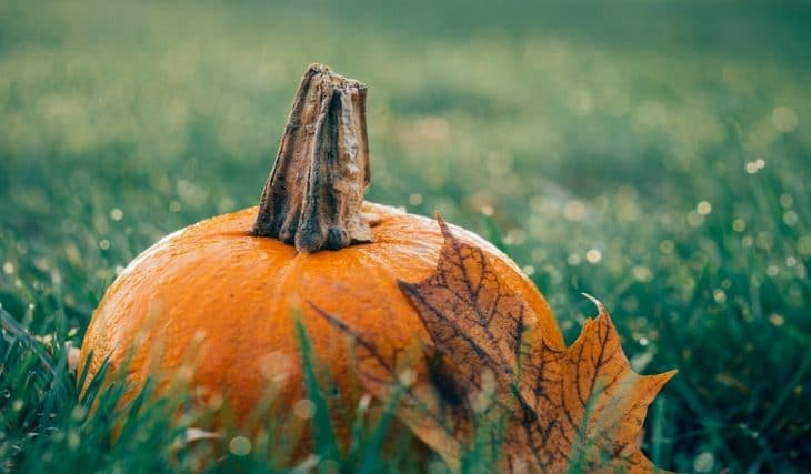 10 cose (belle) da fare a Milano a ottobre