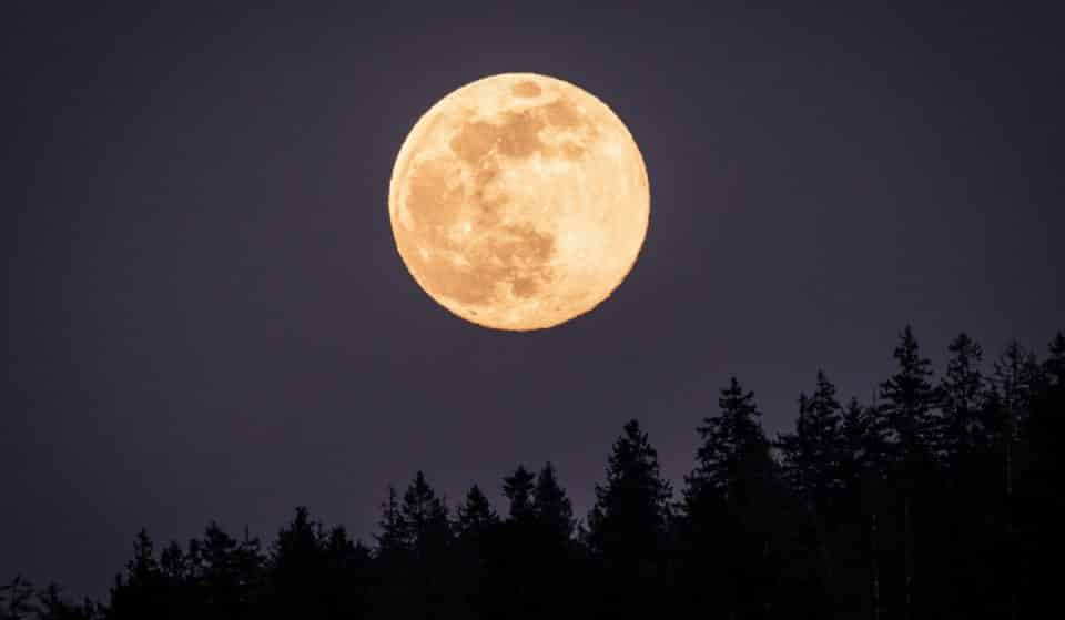 Questa sera potrai ammirare la meravigliosa Superluna del Cervo
