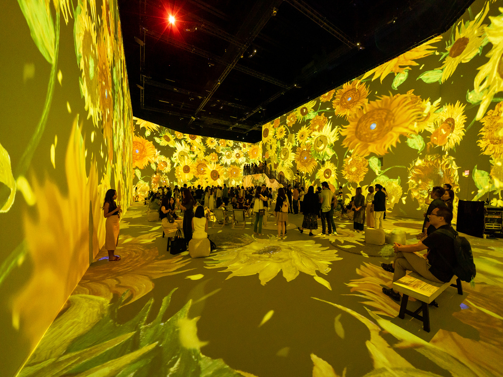  Van Gogh The Immersive Experience Sta Per Cominciare 