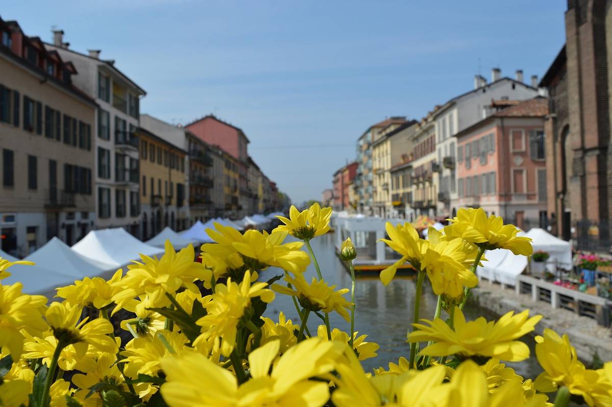 naviglio