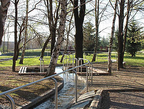 A meno di un&#8217;ora da Milano si trova un&#8217;area benessere gratuita in mezzo al bosco