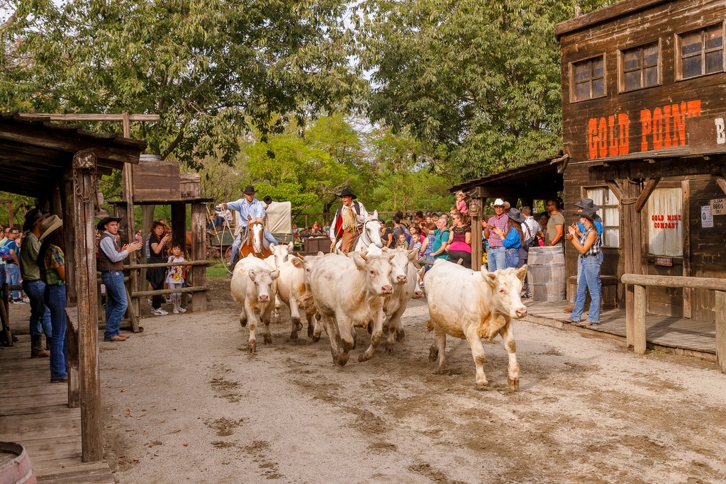 cowboyland