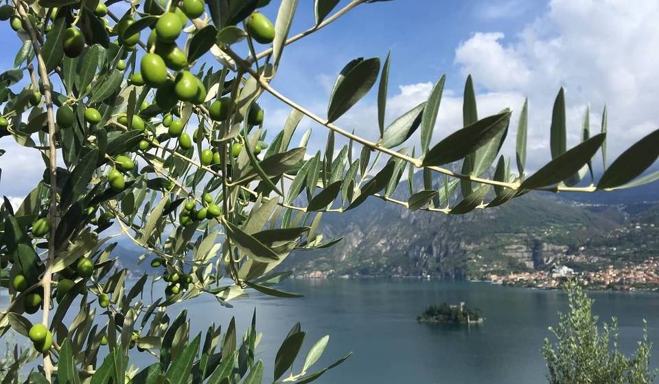 Un borgo di pescatori sospeso nel tempo: reti appese alle case e processioni sul lago. Sembrano le Cinque Terre ma è Lombardia