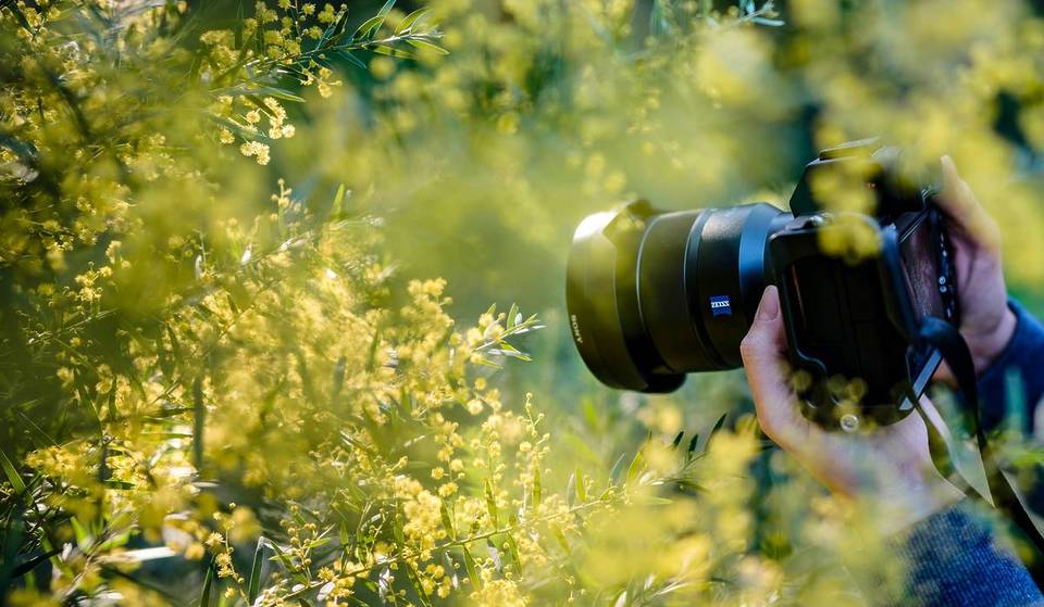 5 exposiciones fotográficas ineludibles en Milán en 2025: de Nan Goldin a Man Ray
