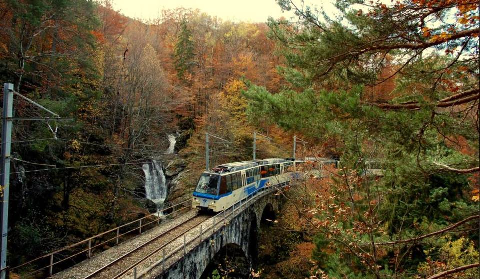 Riaprono le prenotazioni per il treno del foliage, uno dei treni più autunnali d’Europa e tra le linee più belle del mondo