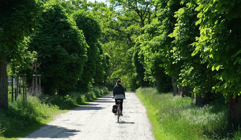 El carril bici que parte de Milán y te lleva a algunos de los pueblos más bonitos de Italia: una ruta de ensueño que parte de los Navigli